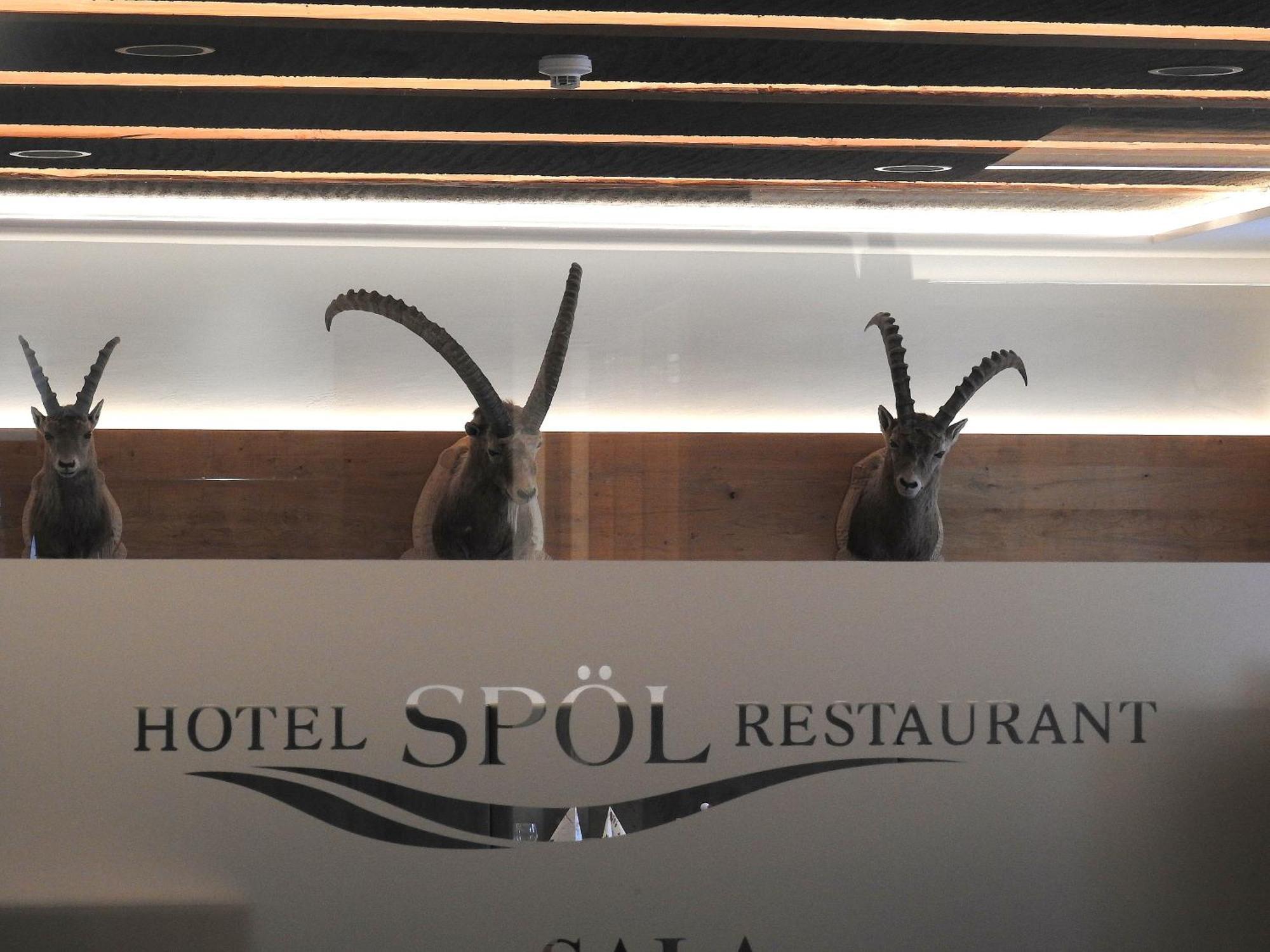 Hotel Spoel Restaurant Zernez Esterno foto